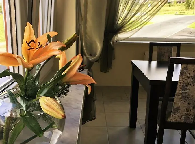 Goscinne W Dolinie Szczescia 民宿 *