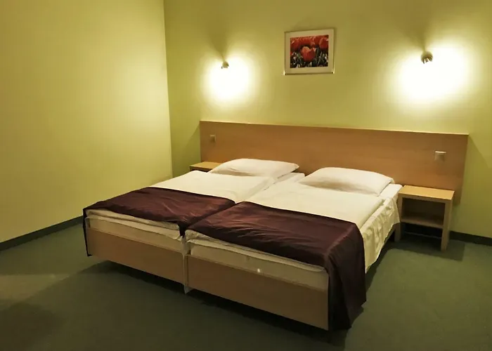 民宿 Goscinne W Dolinie Szczescia